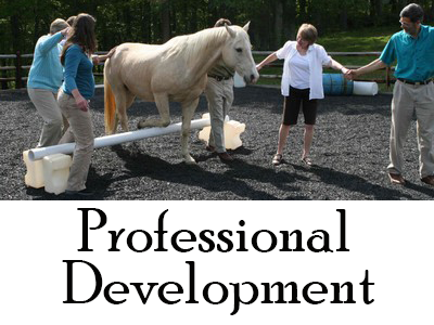 professional development